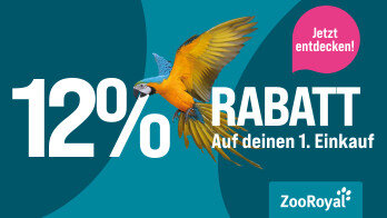 12%